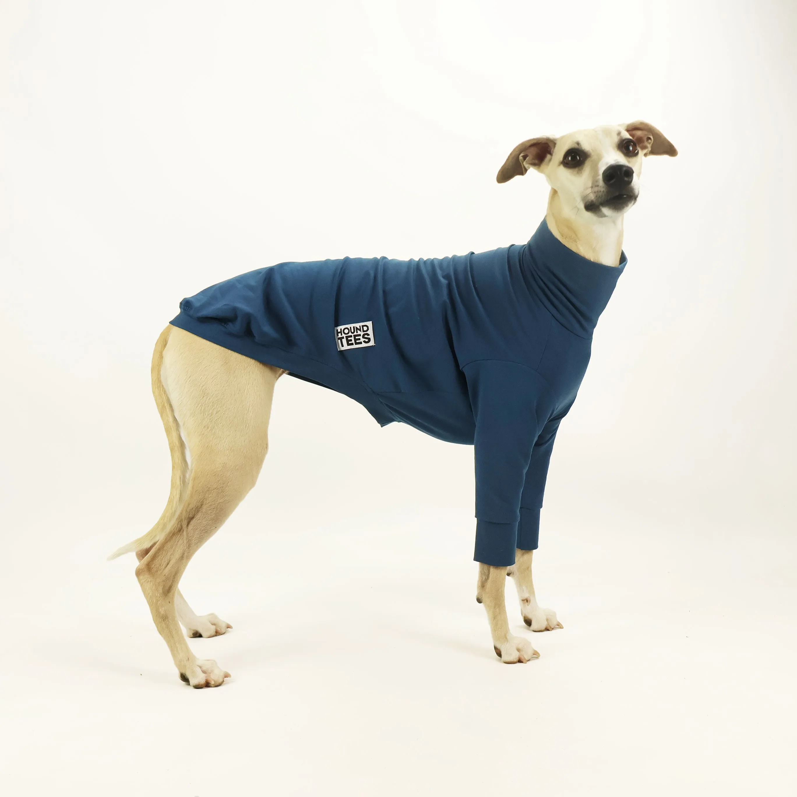 Monday Blues Whippet Long Sleeve Base Layer