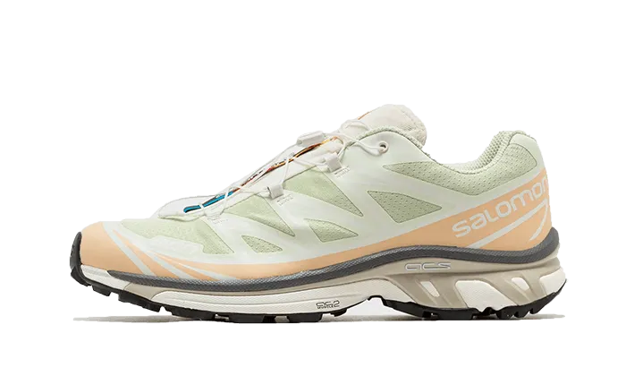 Salomon XT-6 Aloe Wash Feather Grey