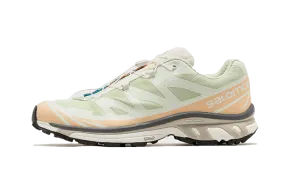 Salomon XT-6 Aloe Wash Feather Grey