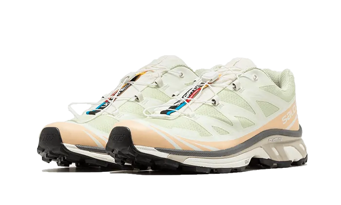 Salomon XT-6 Aloe Wash Feather Grey